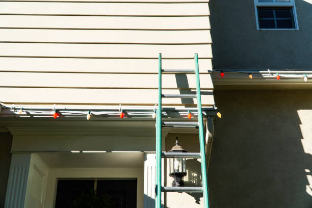 Best Carpet Removal and Disposal  in Lton, IN