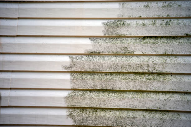 Best Appliance Removal  in Lton, IN