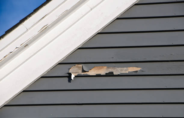 Best Foreclosure Cleanout  in Lton, IN