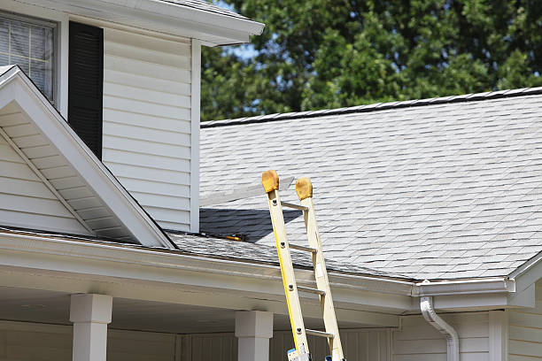 Best Hoarding Cleanup  in Lton, IN