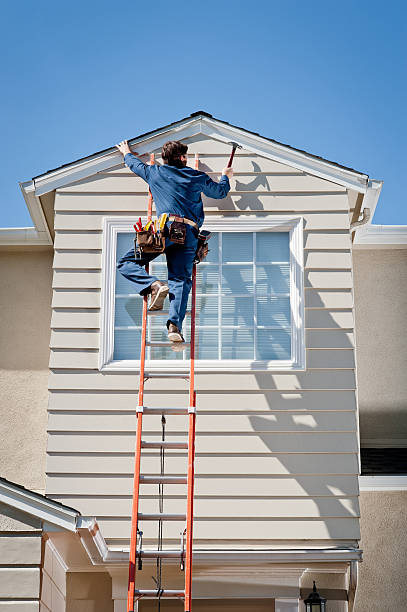 Best Dumpster Rental Services  in Lton, IN